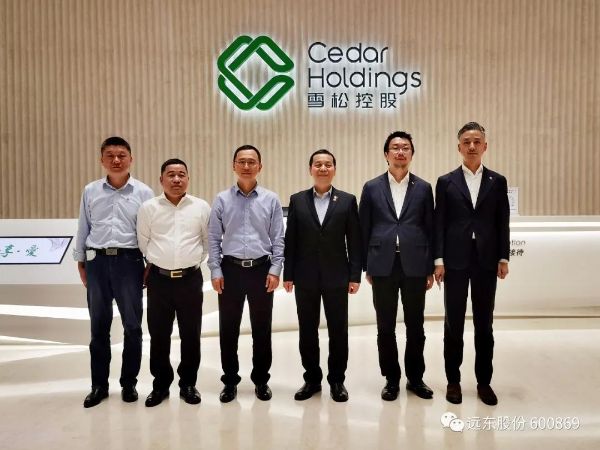 远东股份与雪松大宗签署战略合作协议